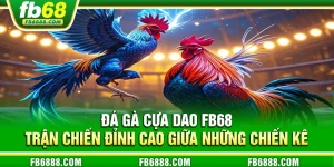 Đá gà cựa dao FB68 – Trải nghiệm đấu trường đỉnh cao cực hấp dẫn