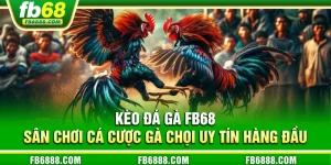 Kèo đá gà FB68 - Sân chơi cá cược gà chọi uy tín hàng đầu