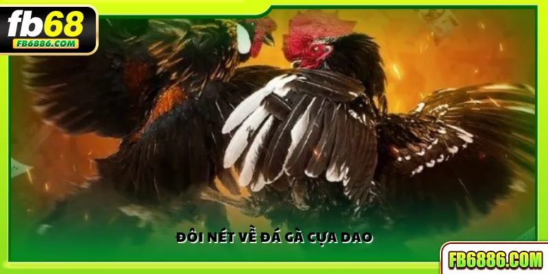 Đôi nét về đá gà cựa dao