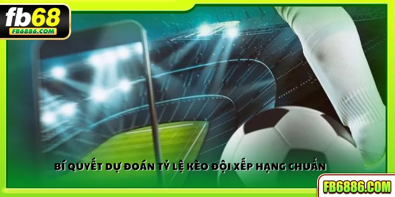 Bí quyết dự đoán tỷ lệ kèo đội xếp hạng chuẩn