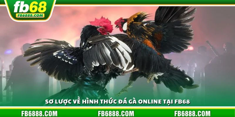 Sơ lược về hình thức đá gà online tại FB68