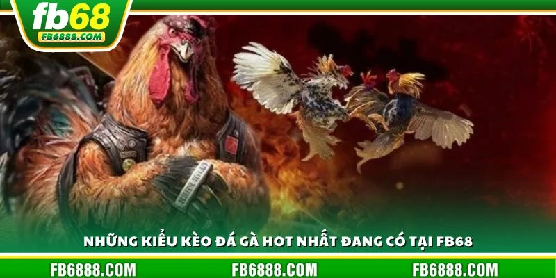 Những kiểu kèo đá gà hot nhất đang có tại FB68